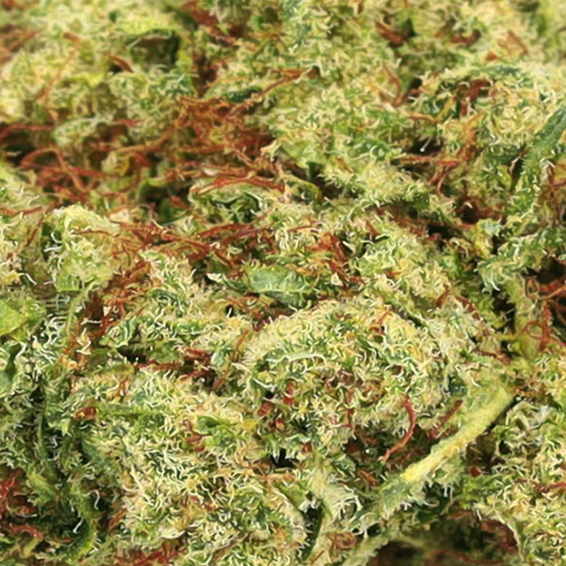 découvrez cali shop cbd, votre destination privilégiée pour trouver la meilleure weed de qualité. explorez notre sélection exclusive de produits cbd et profitez d'une expérience unique.