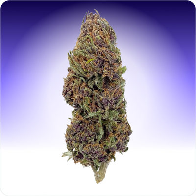 découvrez cali shop cbd, votre destination pour trouver la meilleure weed de qualité. explorez notre sélection exclusive et profitez d'une expérience unique en cbd.