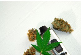 découvrez les bienfaits du cbd sur les voies respiratoires et son potentiel pour soulager les symptômes de l'asthme grâce à ses propriétés anti-inflammatoires et relaxantes.
