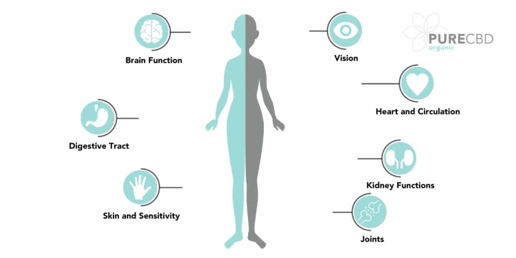 découvrez les liens entre le cbd et la schizophrénie : effets potentiels, recherches actuelles et précautions à prendre.