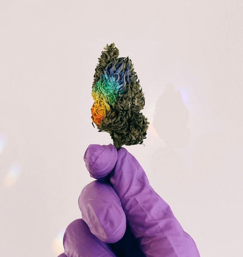 découvrez où trouver la meilleure weed cbd à lille. guide complet des meilleures boutiques et conseils pour choisir des produits de qualité.