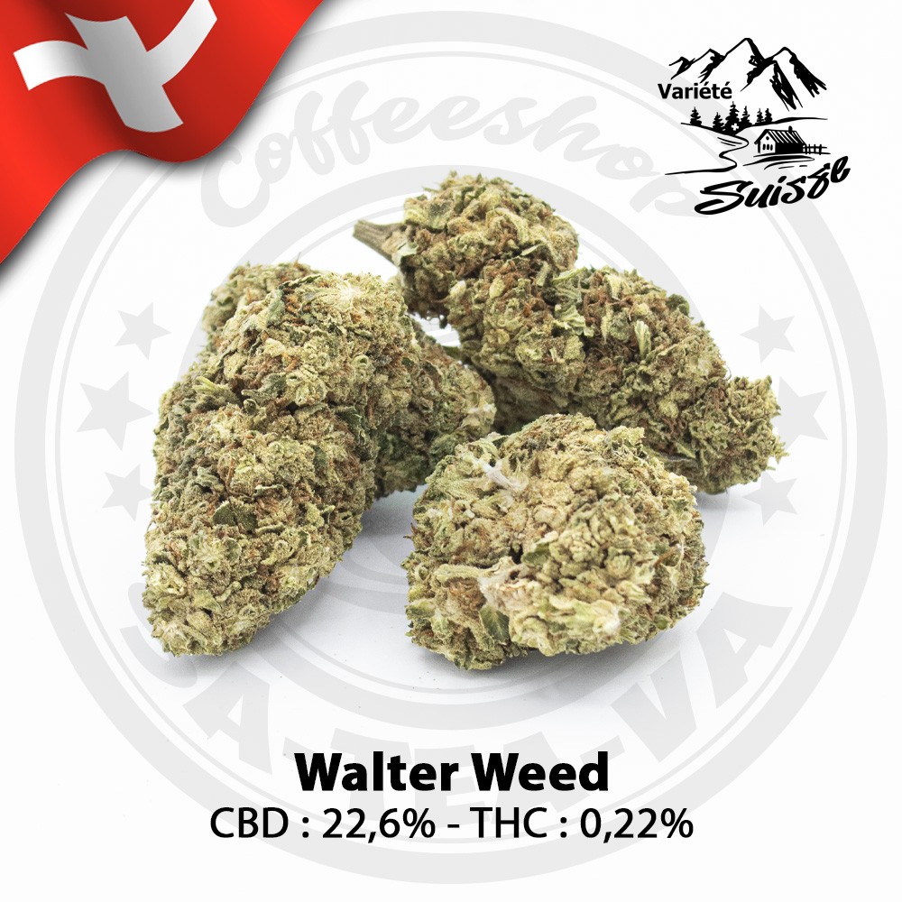 découvrez le meilleur cbd à limoges : qualité premium, effet naturel, et variété exceptionnelle pour une expérience unique.
