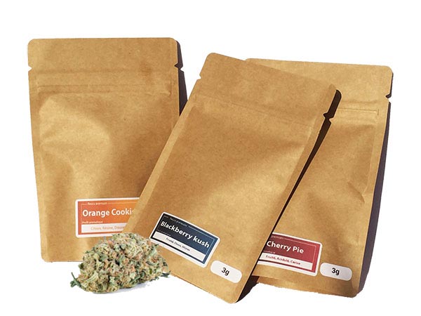 découvrez notre cbd shop à nantes, votre boutique spécialisée pour des produits cbd de qualité : huiles, fleurs, cosmétiques et bien plus. livraison rapide et conseils personnalisés.