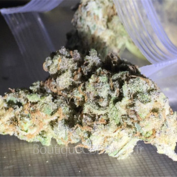 découvrez notre cbd shop à nantes : une large gamme de produits cbd de qualité pour votre bien-être. produits naturels, conseils personnalisés et service professionnel.