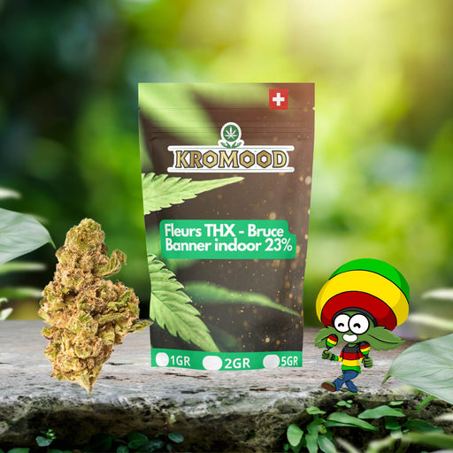 découvrez notre cbd shop à nîmes, offrant la meilleure qualité de weed cbd pour une expérience naturelle et relaxante.