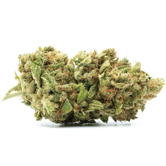 découvrez notre cbd shop à nîmes, expert en meilleure weed de qualité, avec un large choix de produits naturels pour votre bien-être.