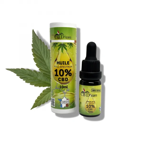 découvrez le meilleur cbd shop à reims avec une sélection de weed de qualité supérieure, idéale pour tous les amateurs de produits naturels et bien-être.