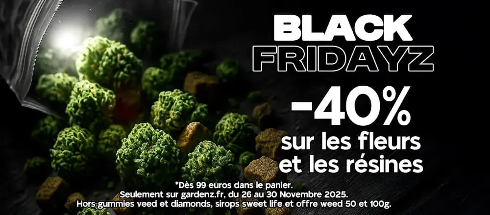 découvrez comment choisir un magasin de cannabis légal en toute sécurité, avec des conseils pour trouver des produits de qualité et respecter la réglementation.