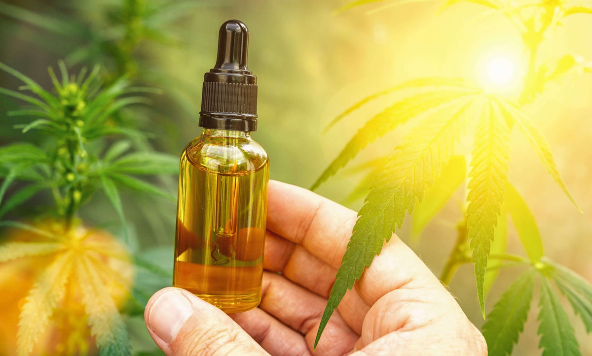 découvrez comment choisir un cbd de qualité en toute confiance grâce à nos conseils pour identifier les meilleurs produits, garantissant efficacité et sécurité.