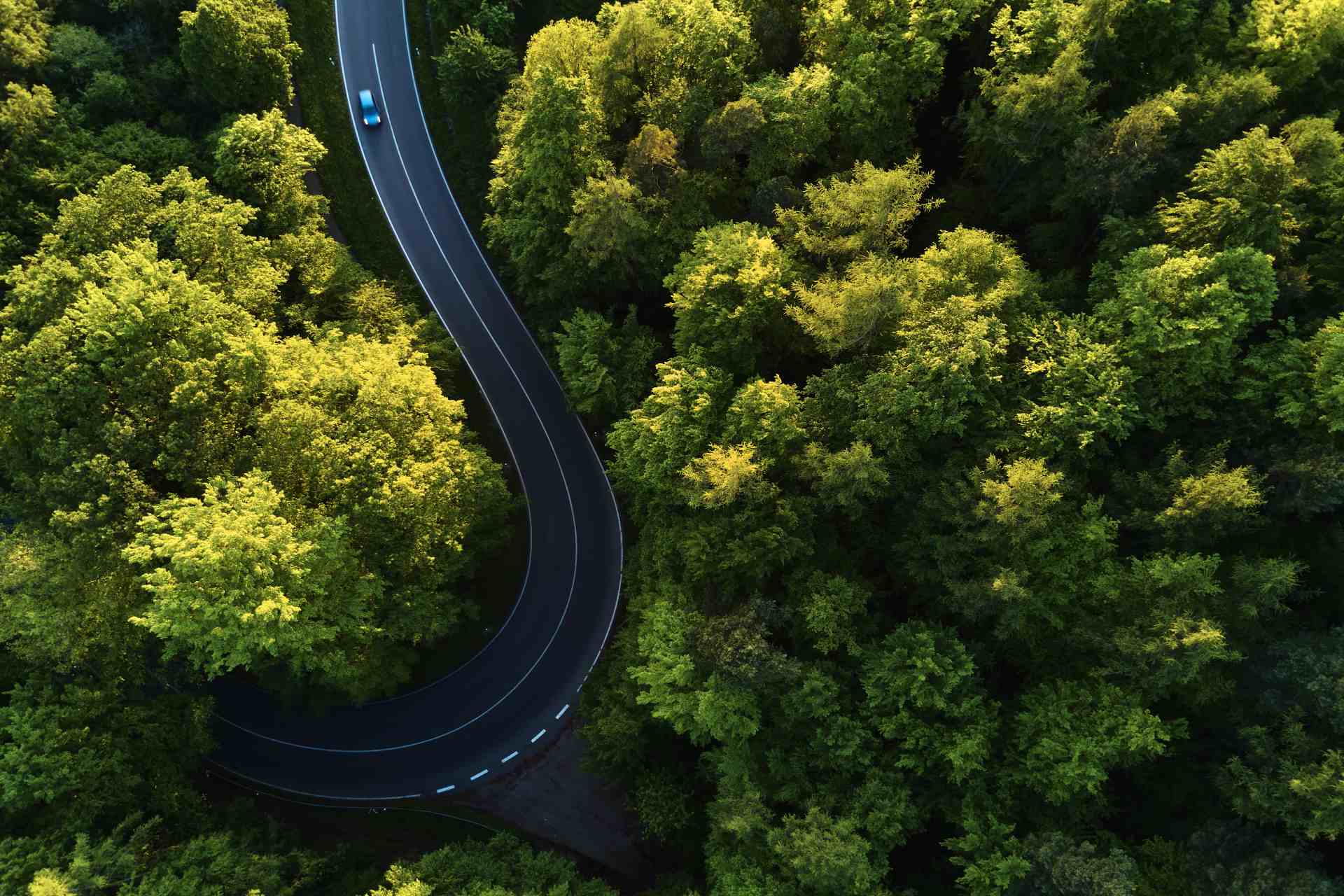 découvrez green road, votre partenaire pour une mobilité durable alliant innovation écologique et solutions de transport responsables.