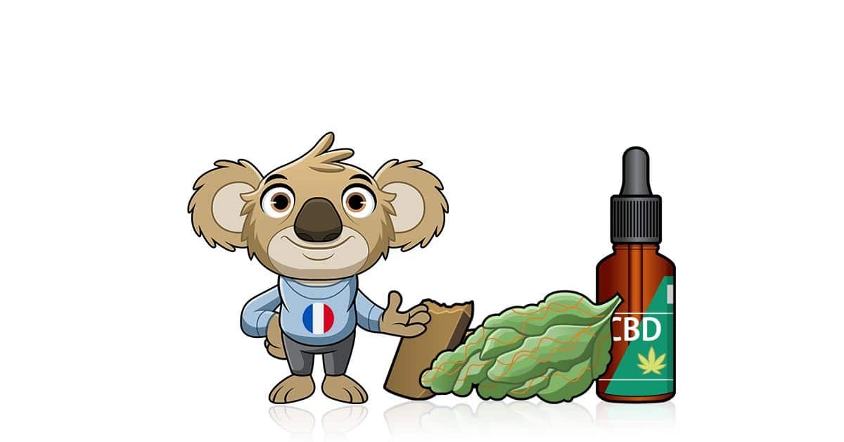 découvrez le meilleur cbd à besançon : qualité, naturel et bien-être garantis. trouvez les produits cbd adaptés à vos besoins près de chez vous.