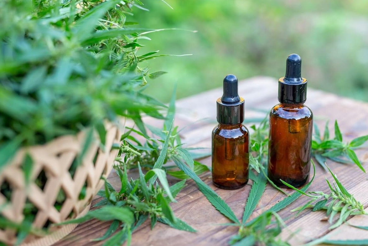 découvrez le meilleur cbd à la rochelle : produits de qualité, conseils personnalisés et livraison rapide pour une expérience naturelle et bien-être garantie.