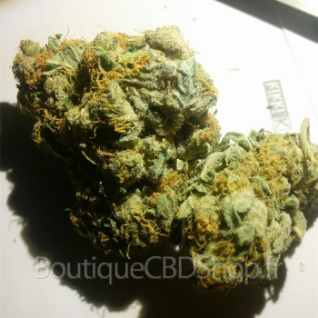 découvrez le meilleur cbd shop à auriol : produits de qualité, conseils personnalisés et une large gamme de cbd pour votre bien-être.