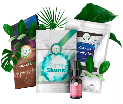 découvrez le meilleur cbd à strasbourg : produits de qualité supérieure, conseils personnalisés et service fiable pour votre bien-être.