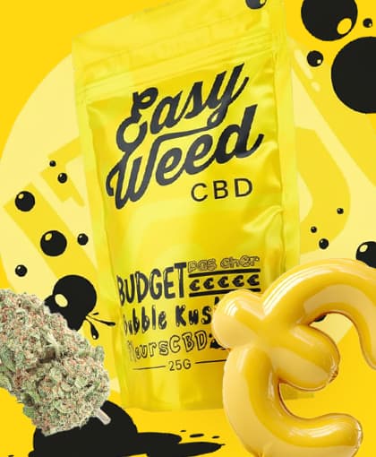 découvrez comment choisir le meilleur site cbd pas cher sans faire d'erreur. guide complet pour trouver des produits de qualité au meilleur prix en toute confiance.