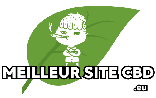 découvrez comment choisir le meilleur site cbd pas cher sans faire d'erreur grâce à nos conseils pratiques et avis fiables pour un achat sécurisé et économique.