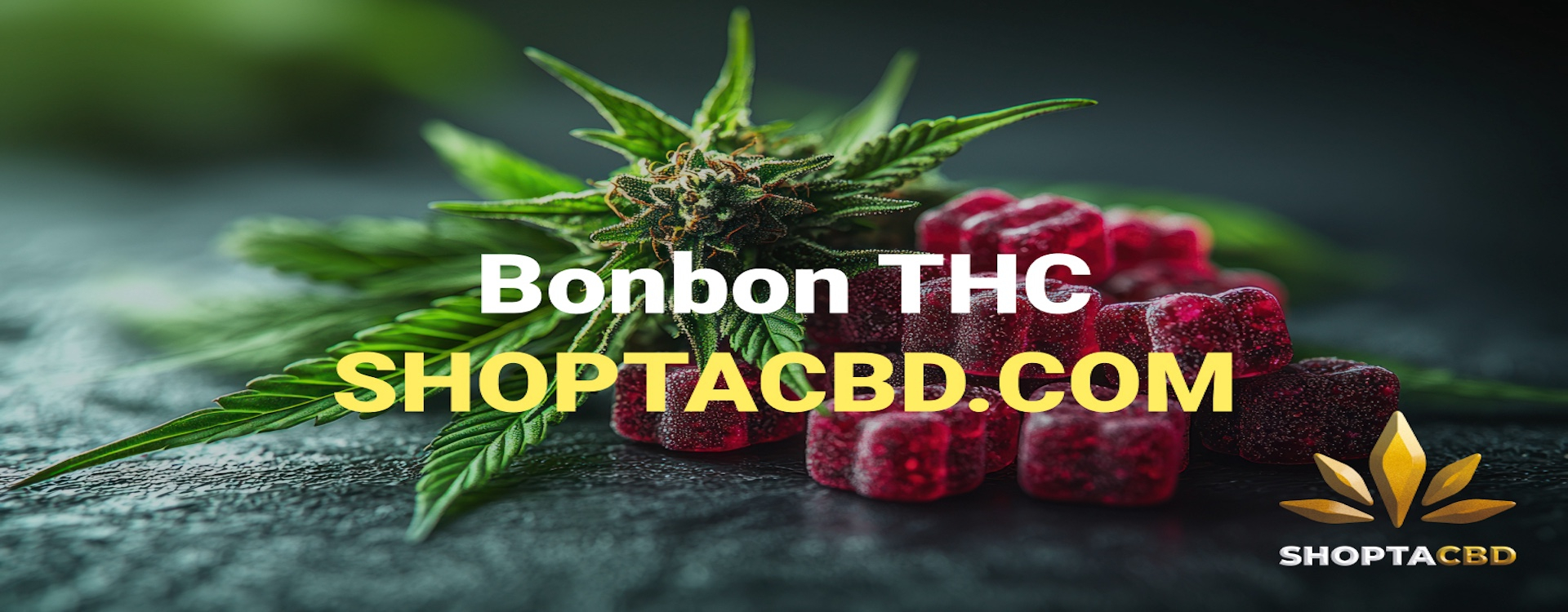découvrez notre guide complet et nos astuces pour profiter des bonbons au cannabis en toute sécurité et efficacement.