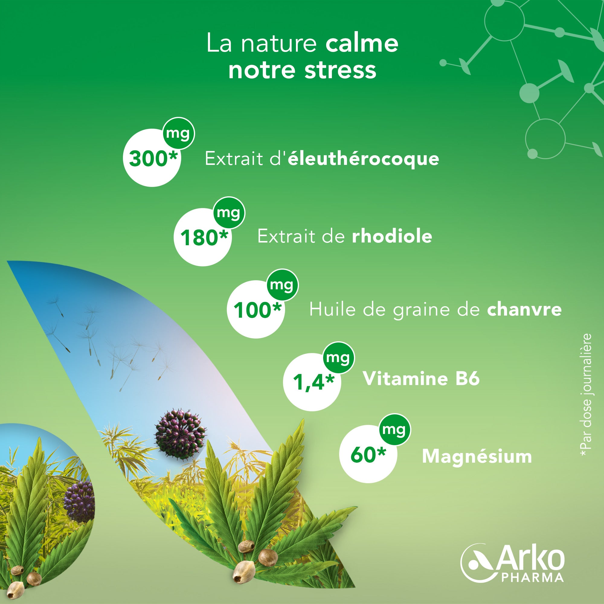 découvrez les bienfaits combinés du cannabis et de la rhodiola, deux plantes aux propriétés complémentaires pour améliorer bien-être, stress et vitalité.