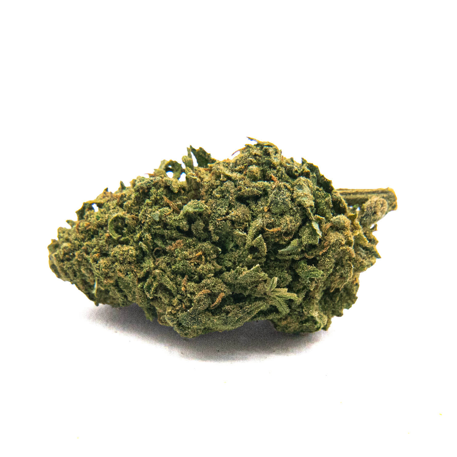 découvrez le cannabis gorilla glue, une variété puissante et populaire connue pour ses effets relaxants et son arôme unique. parfaite pour les amateurs de cannabis cherchant une expérience intense.