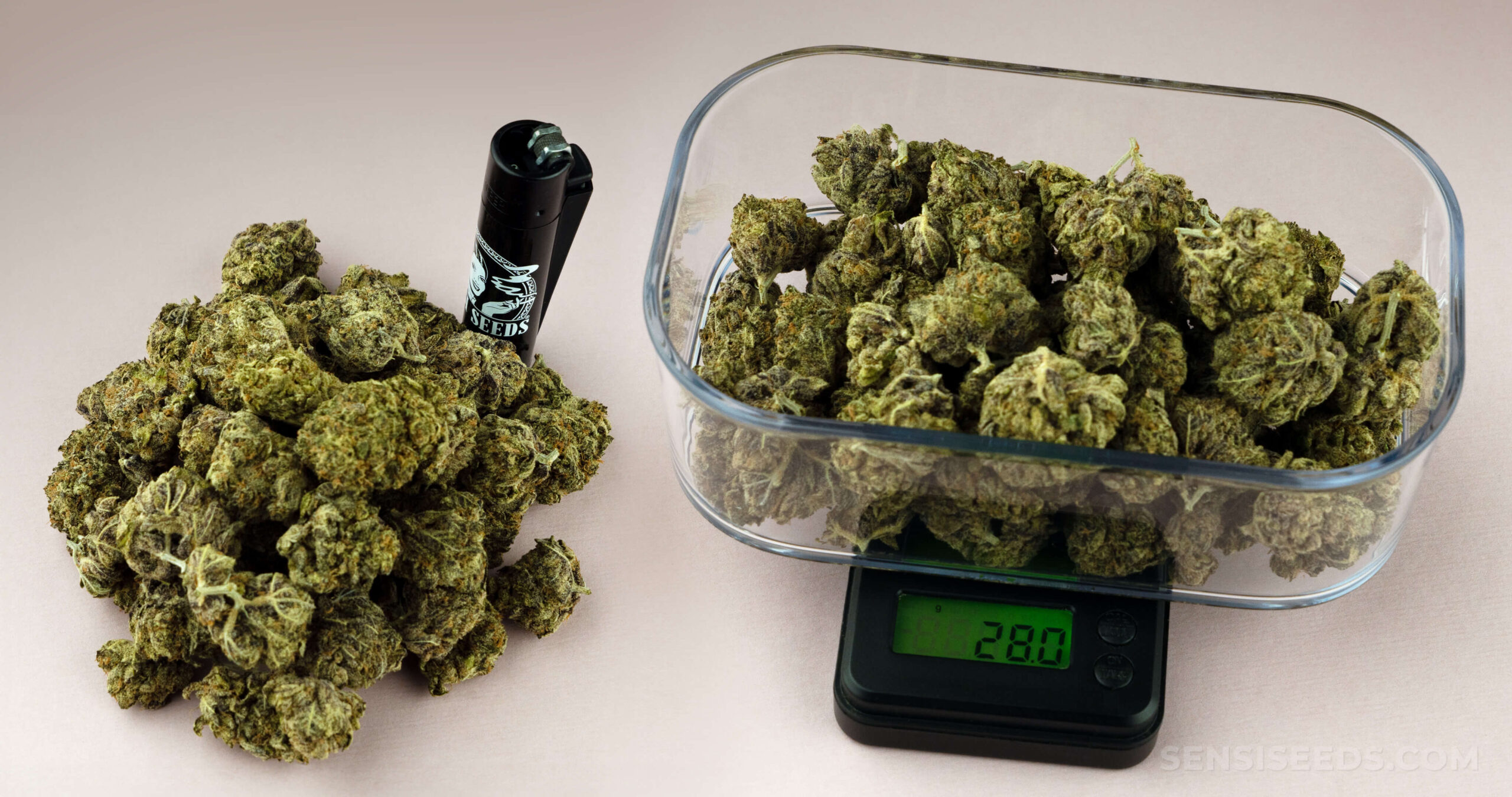 découvrez notre guide complet sur le cannabis près de chez vous : informations pratiques, conseils légaux et points de vente à proximité.