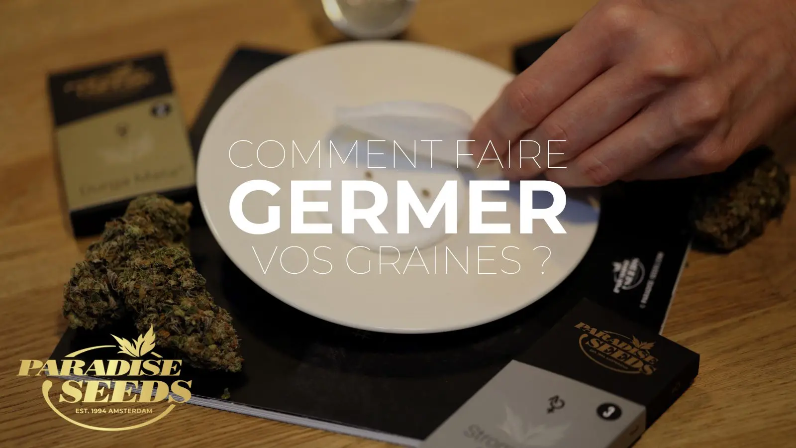 apprenez comment faire germer des graines de cannabis efficacement grâce à nos conseils pratiques et faciles à suivre pour une germination réussie.