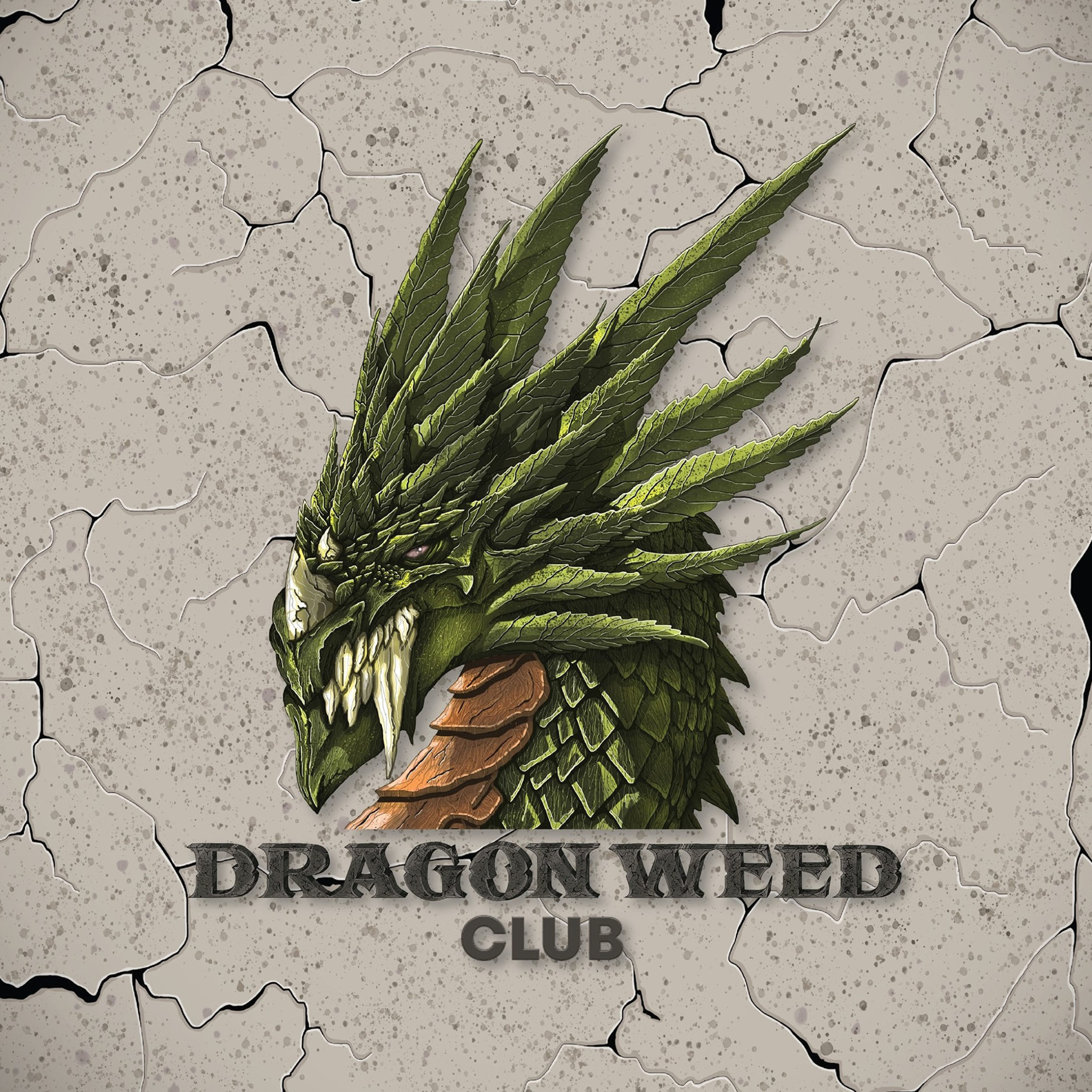 découvrez notre guide complet pour choisir le meilleur cannabis club à barcelone, avec conseils pratiques, critères de sélection et recommandations exclusives.