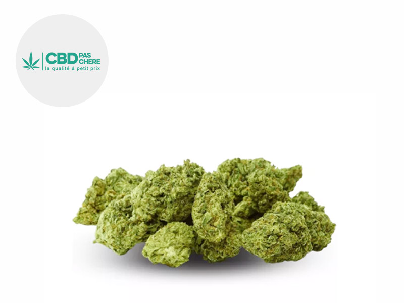 découvrez notre guide complet pour choisir le meilleur cbd adapté à vos besoins, avec conseils, astuces et informations essentielles.