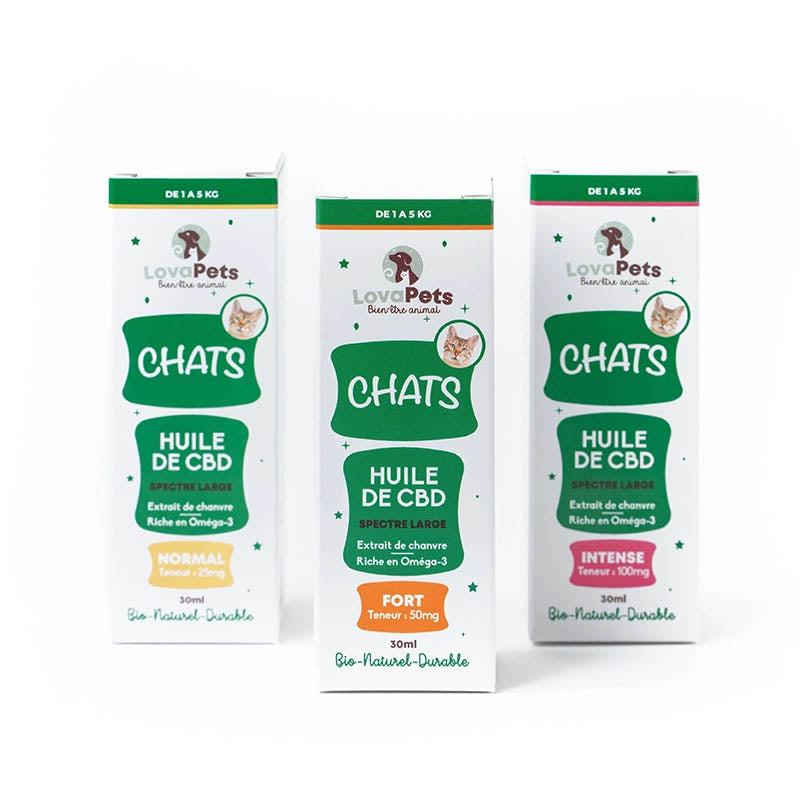 découvrez notre guide d'achat du meilleur cbd pour chat, astuces et conseils pour choisir un produit sûr et efficace pour le bien-être de votre compagnon félin.