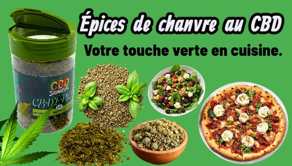 découvrez le meilleur grossiste cbd proposant des produits de qualité, fiables et à prix compétitifs pour répondre à tous vos besoins en cannabidiol.