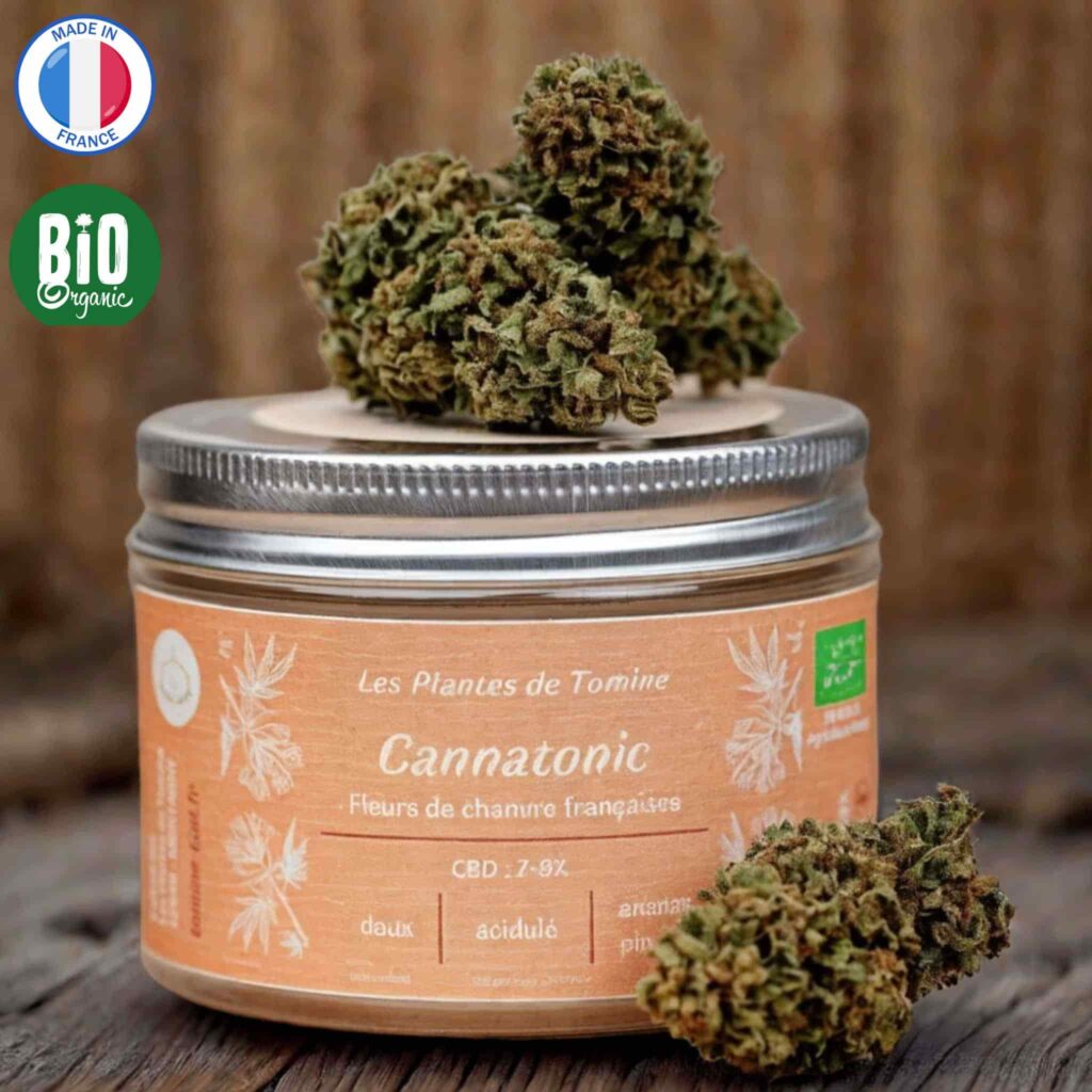 découvrez la meilleure fleur de cbd : qualité premium, saveurs authentiques et effets bien-être garantis. trouvez votre fleur idéale dès aujourd'hui !