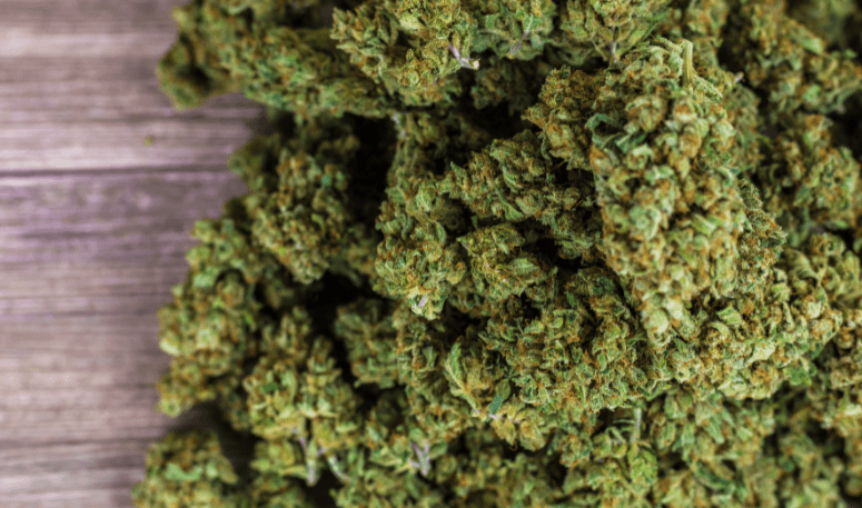 découvrez la meilleure fleur de cbd alliant qualité, arôme et bienfaits pour un bien-être naturel.
