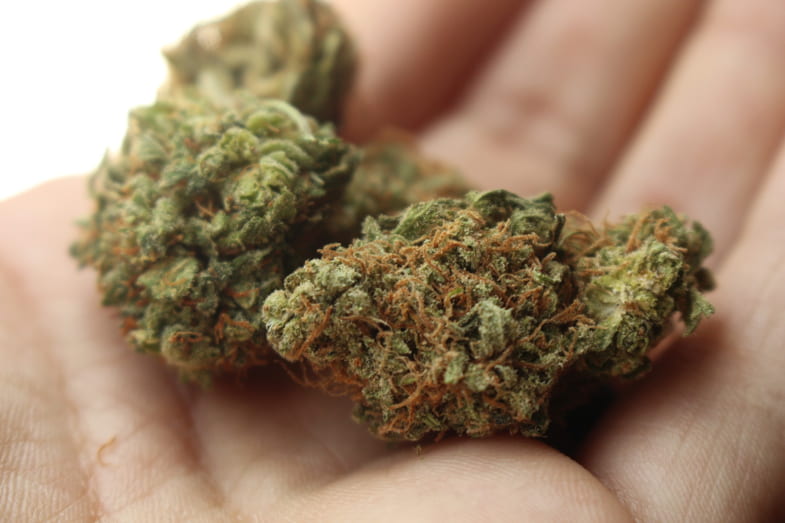 découvrez les meilleurs cannabis clubs à malte pour une expérience conviviale et sûre. trouvez des conseils, avis et informations utiles pour profiter pleinement de votre visite.