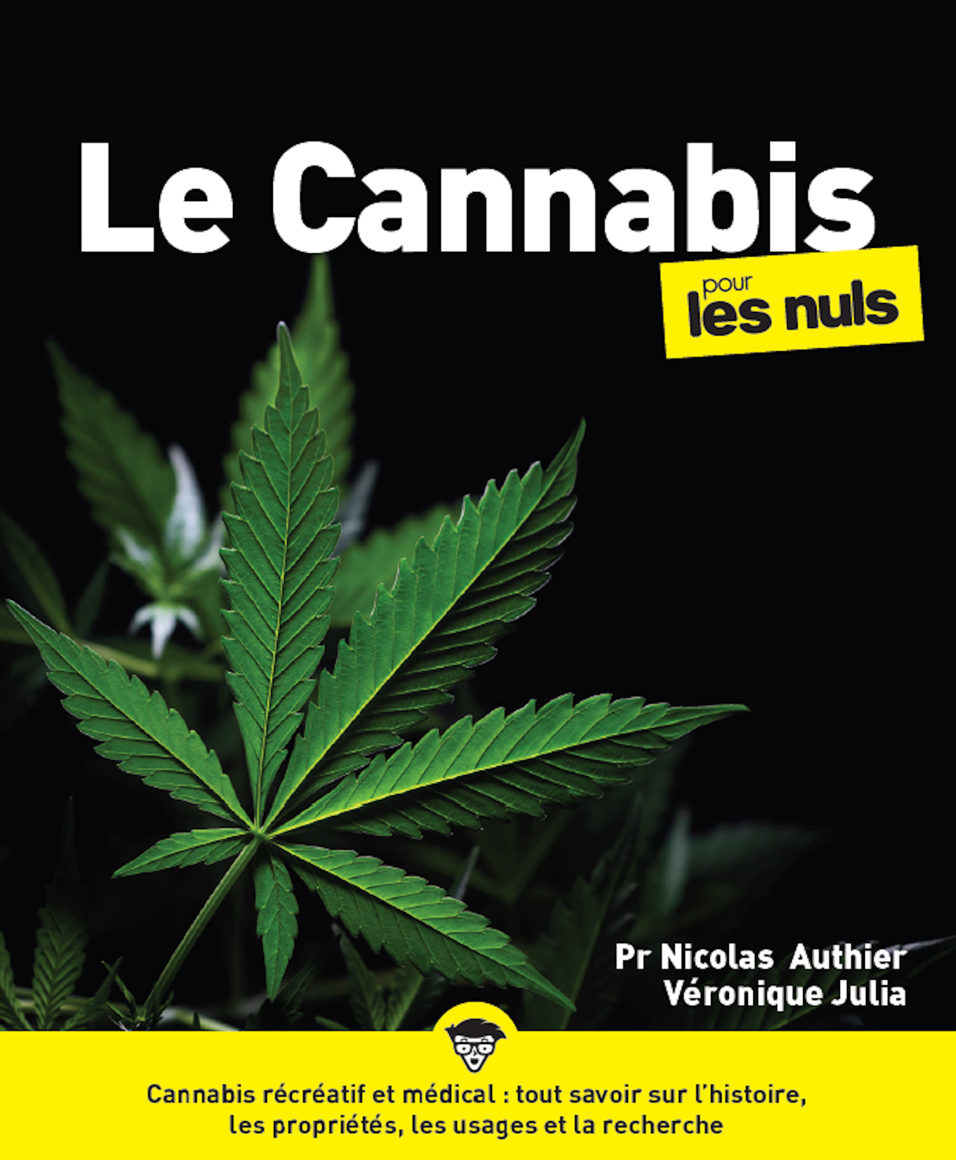 découvrez les standards de qualité et de sécurité essentiels pour le cannabis, garantissant un produit fiable et conforme aux régulations en vigueur.