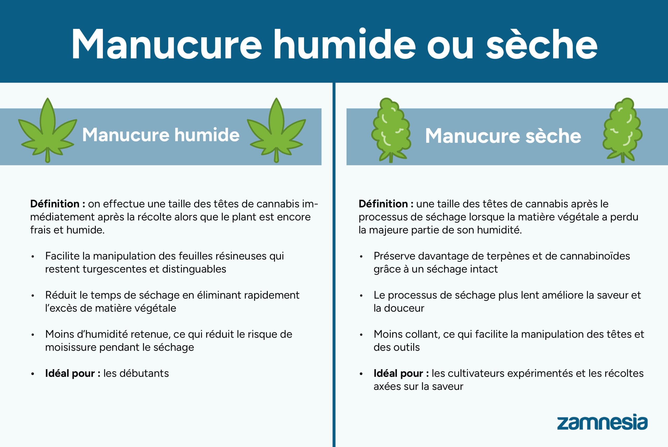 découvrez les méthodes efficaces pour tailler le cannabis et optimiser la croissance de vos plants. guide pratique et conseils pour un jardinage réussi.