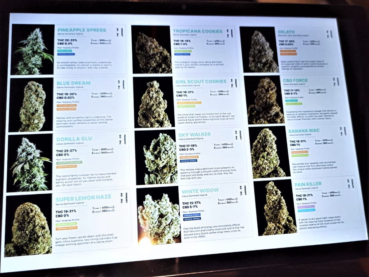 découvrez la législation actuelle et les usages du cannabis en thaïlande, incluant les lois en vigueur, les restrictions, et les pratiques culturelles autour de cette plante.