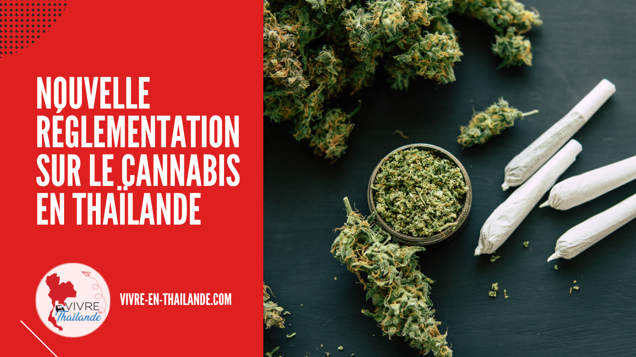 découvrez la législation en vigueur et les usages traditionnels du cannabis en thaïlande, ainsi que les implications légales pour les visiteurs et résidents.