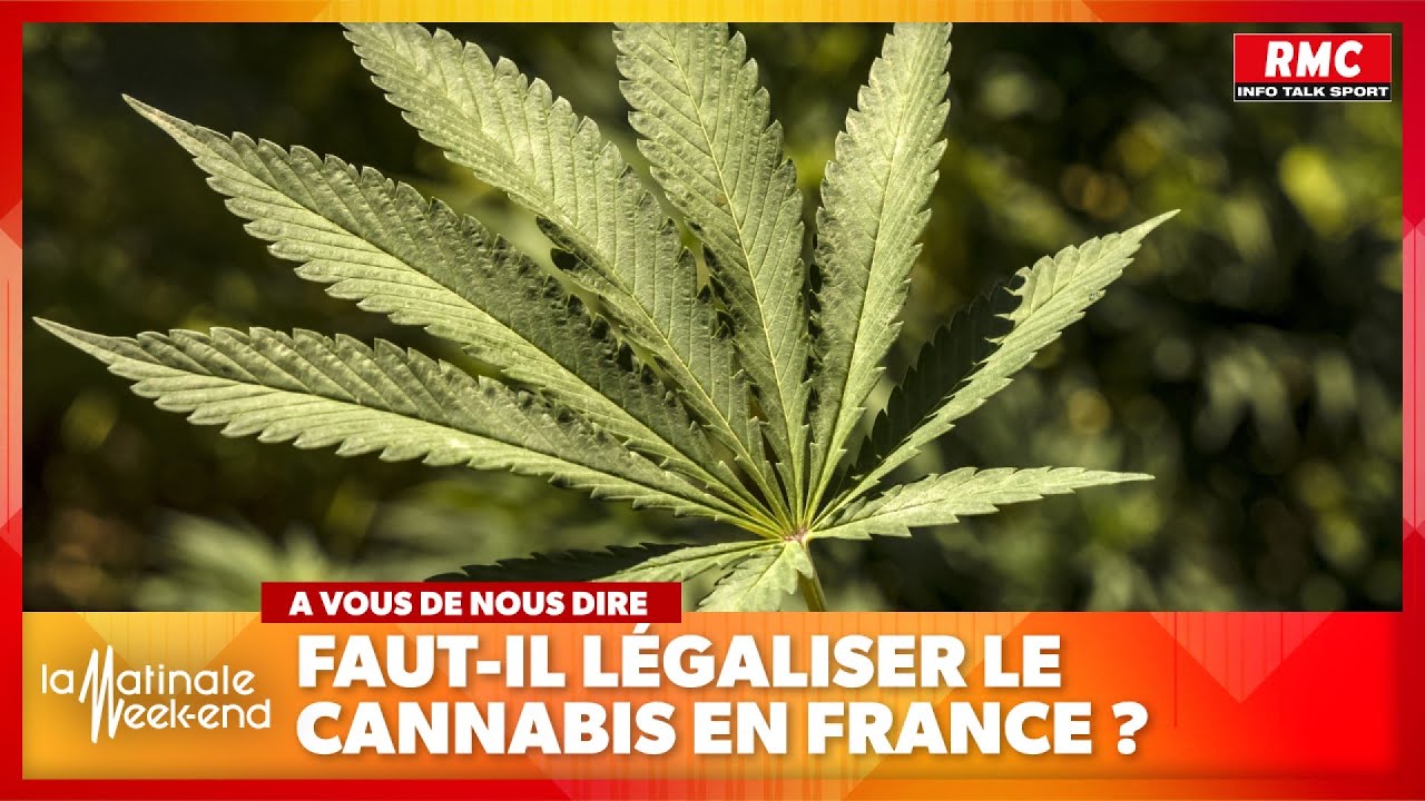 découvrez les principaux arguments contre la légalisation du cannabis, abordant les risques sanitaires, sociaux et économiques liés à cette décision.