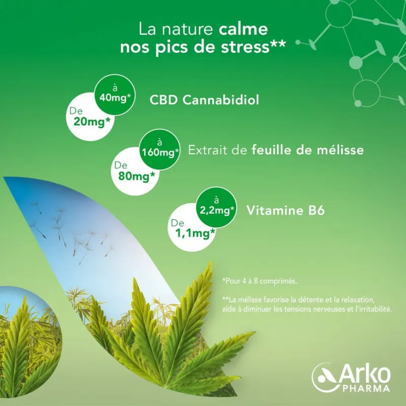découvrez le guide complet sur arkorelax cannabis : bienfaits, utilisation, conseils et tout ce qu'il faut savoir pour profiter pleinement de ses effets naturels.