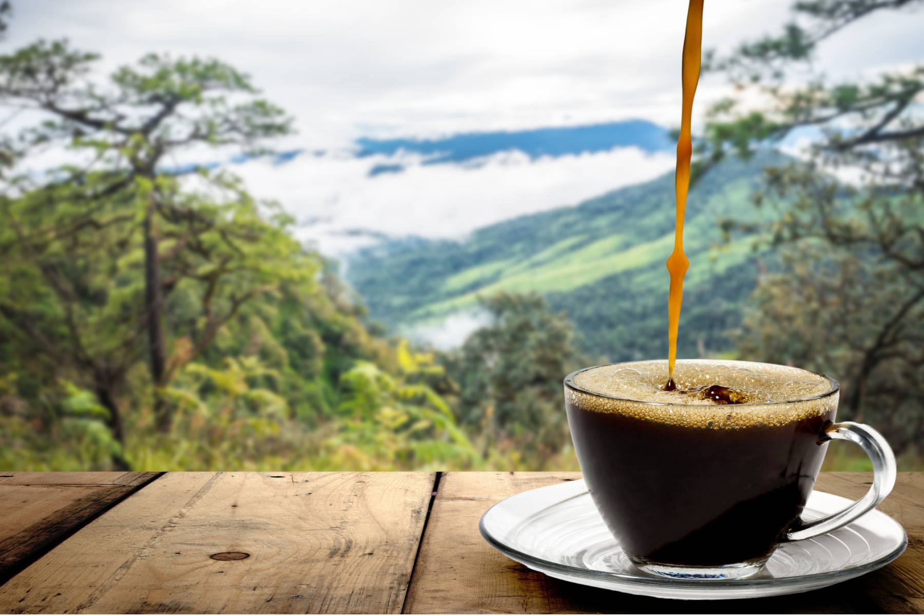 découvrez les bienfaits du café au cannabis, une combinaison innovante qui allie énergie et détente pour un effet unique et bénéfique sur votre bien-être.