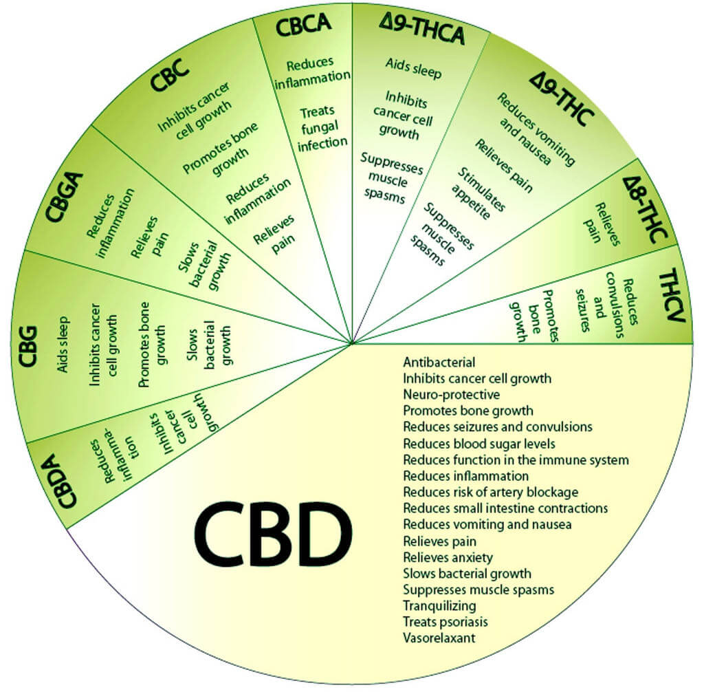 découvrez les bienfaits et les différentes utilisations du cannabis bleu, une variété aux propriétés uniques pour votre bien-être.