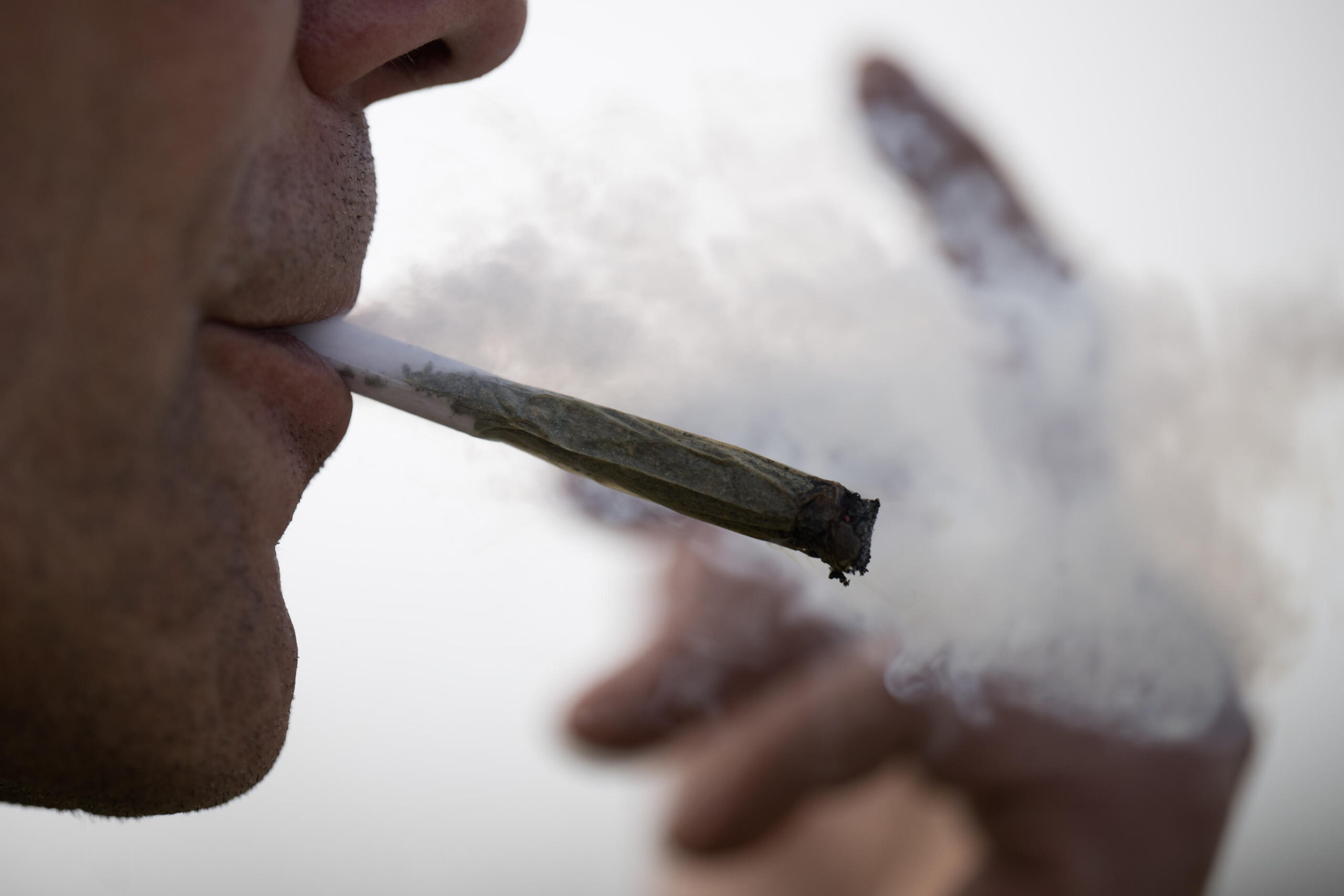 découvrez le fonctionnement du cannabis en allemagne, les règles en vigueur, la législation actuelle et ce que cela implique pour les consommateurs et les professionnels.