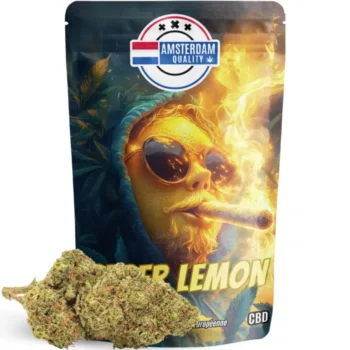 découvrez comment choisir une boutique cbd fiable pour acheter des produits de qualité en toute sécurité. guide pratique et conseils essentiels.