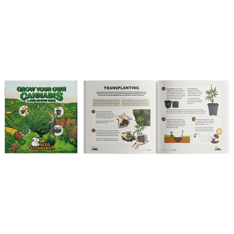 découvrez notre guide complet pour démarrer la culture de cannabis, avec des conseils pratiques pour réussir votre plantation en intérieur ou extérieur.