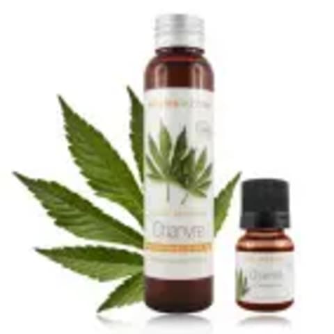 découvrez les bienfaits de l'huile essentielle de cannabis et ses usages naturels pour votre bien-être au quotidien. guide complet et conseils d'utilisation.