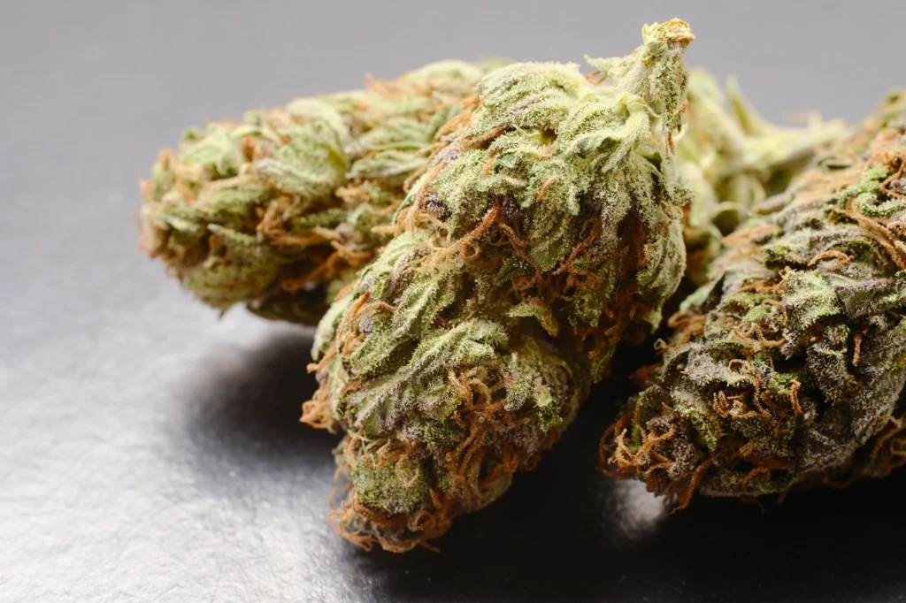 découvrez le meilleur cbd indica pour une relaxation optimale. profitez des bienfaits naturels de nos produits sélectionnés avec soin pour un sommeil réparateur et un bien-être quotidien.