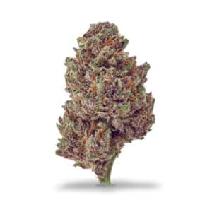 découvrez le meilleur cbd indica pour une relaxation profonde et un apaisement optimal. trouvez des produits de qualité supérieure adaptés à vos besoins.