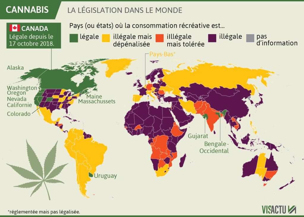 découvrez la réglementation de la vente de cannabis en 2025 : règles, obligations légales et évolutions à connaître pour une conformité assurée.