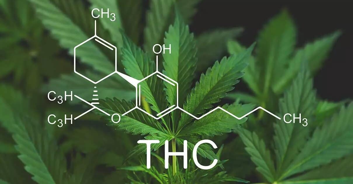 découvrez tout sur le taux de thc dans le cannabis : effets, variétés, législation et conseils pour une consommation responsable.