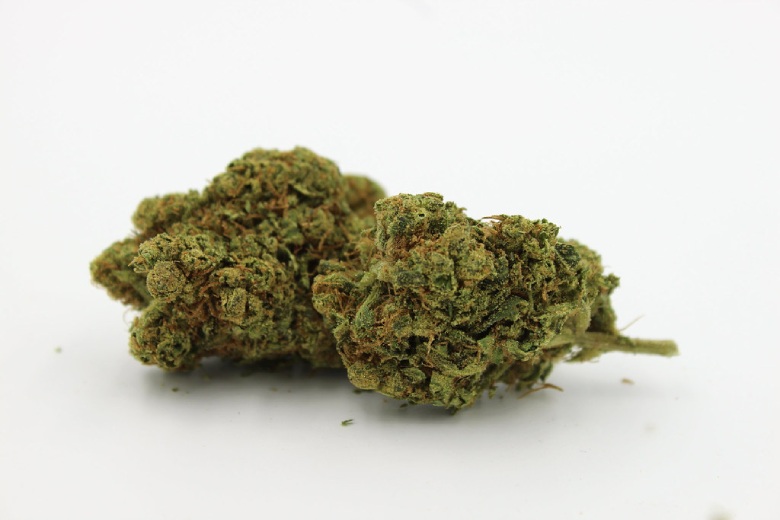 découvrez les différentes variétés de cannabis et leurs effets spécifiques pour mieux choisir selon vos besoins médicaux ou récréatifs.
