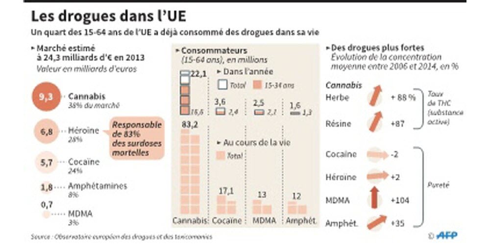 découvrez un bilan complet du cannabis en europe et explorez les perspectives futures concernant sa réglementation, son usage et son impact socio-économique.